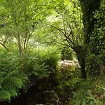 Salamandre Le Bouillon (Orne)