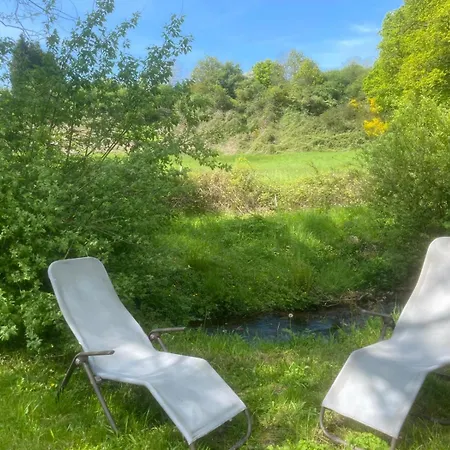 Salamandre Le Bouillon (Orne)