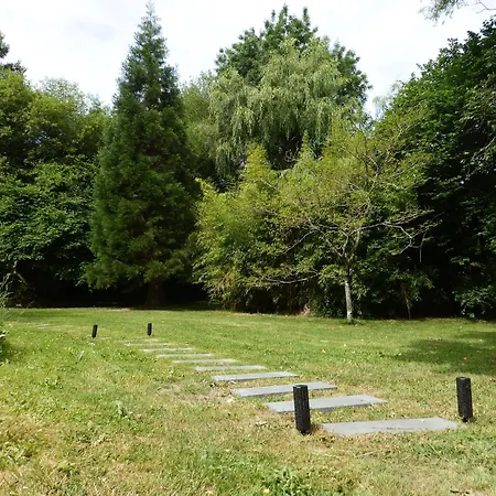 Salamandre Le Bouillon (Orne)