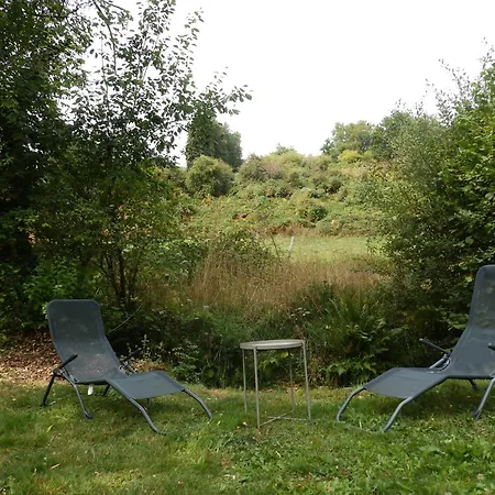 Salamandre Le Bouillon (Orne)