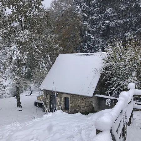 Salamandre * Le Bouillon (Orne)