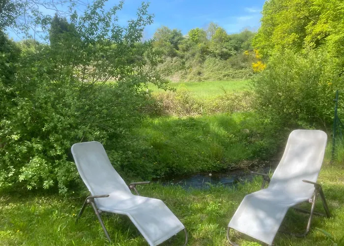 Salamandre Le Bouillon (Orne)