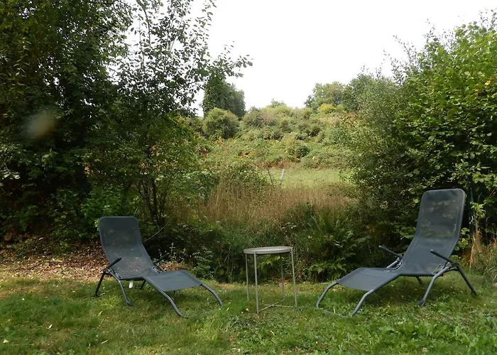 Salamandre Le Bouillon (Orne)