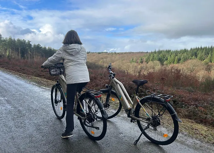 Salamandre Dom wakacyjny