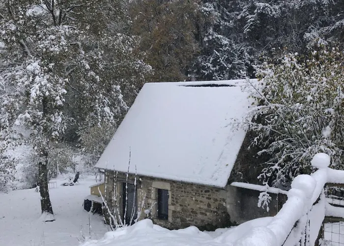 Salamandre * Le Bouillon (Orne)